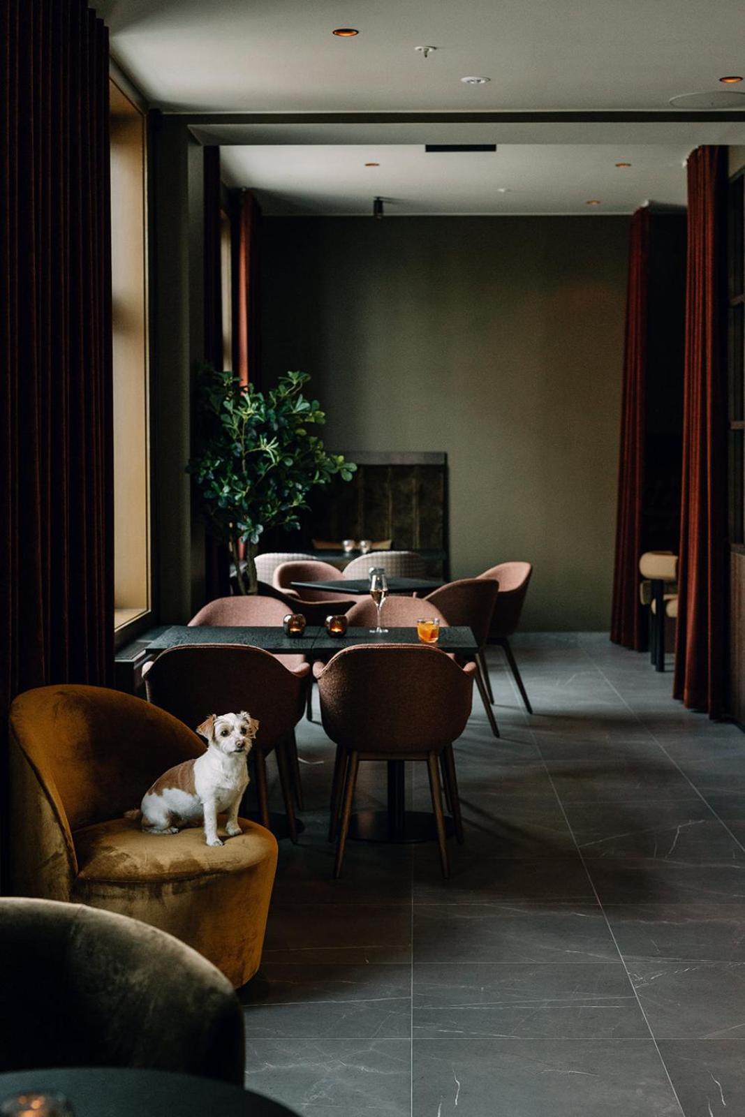 Saga Hotel Oslo, Worldhotels Crafted エクステリア 写真